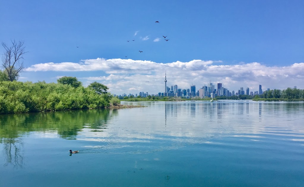 Tommy Thompson Park Floating Bridge | Tommy Thompson Park, Toronto, ON, Canada | Phone: (416) 661-6600