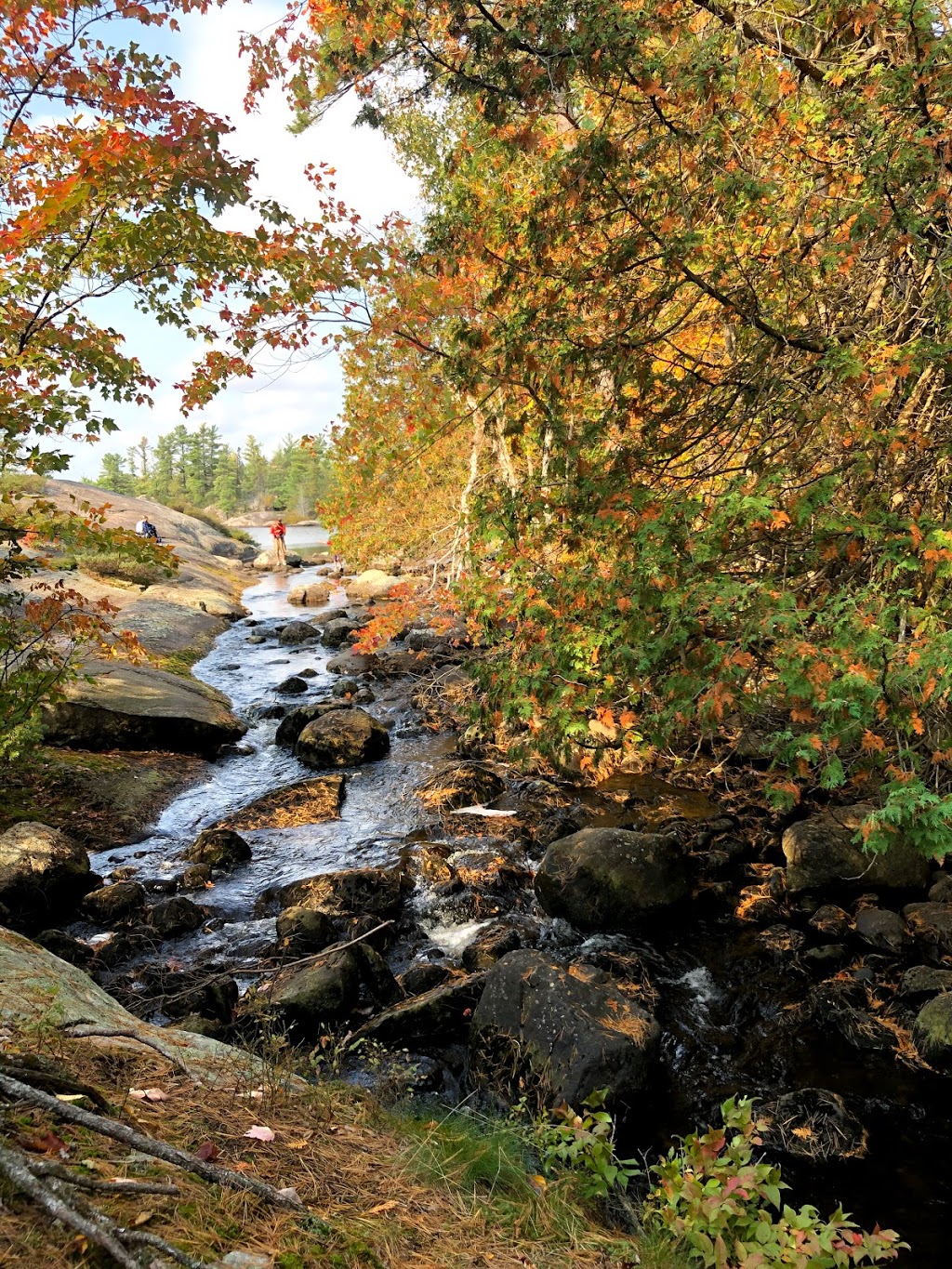 Grundy Lake Provincial Park | Britt, ON P0G 1A0, Canada | Phone: (705) 383-2369