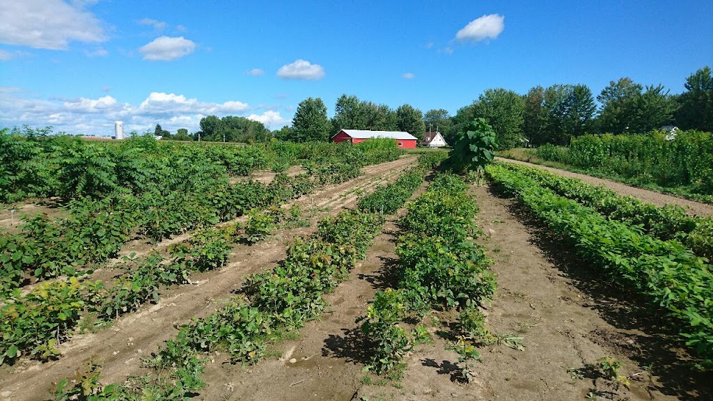 Pépinière Casse-Noisette inc. | 320 Rang de la Rivière So, Maskinongé, QC J0K 1N0, Canada | Phone: (819) 227-1052