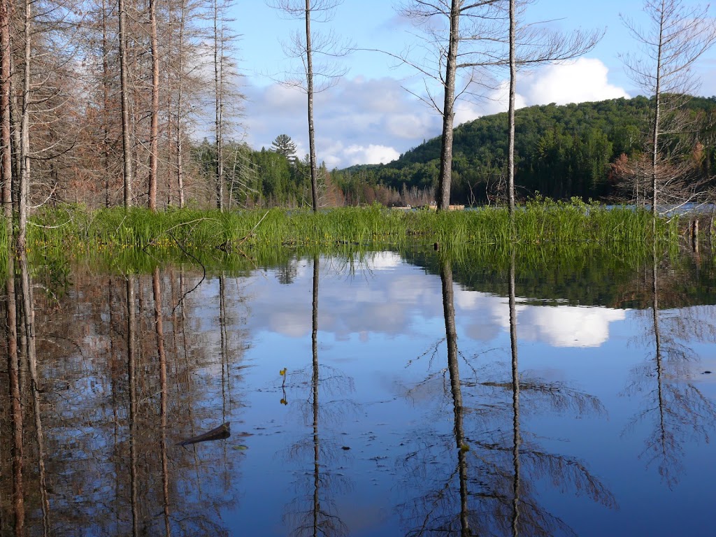 Espaces Boréal | 95 Rue du Lac Piché, Sainte-Marguerite-du-Lac-Masson, QC J0T 1L0, Canada | Phone: (514) 705-4170