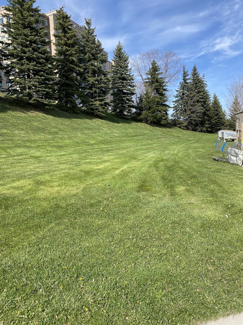 CKl Grass Cutting & Snow Removal | 785 McLaren St, Newmarket, ON L3Y 8H3, Canada | Phone: (289) 716-9253