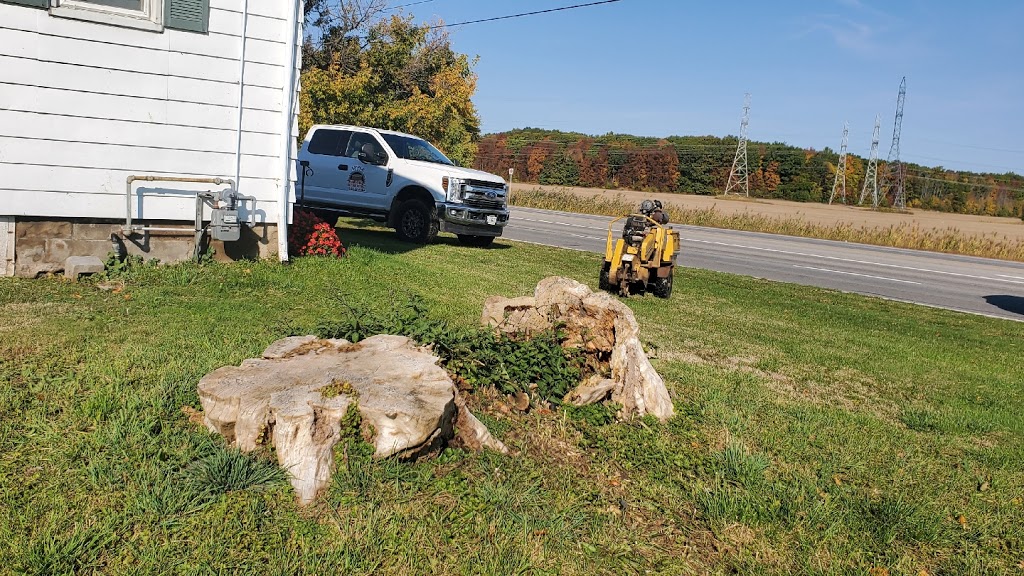 Apple Stump Removal | 1900 Garrison Rd, Fort Erie, ON L2A 5M4, Canada | Phone: (905) 327-6666