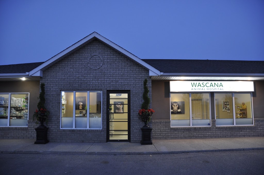 Wascana Animal Hospital | 3259 Eastgate Dr, Regina, SK S4Z 1A4, Canada | Phone: (306) 789-0918