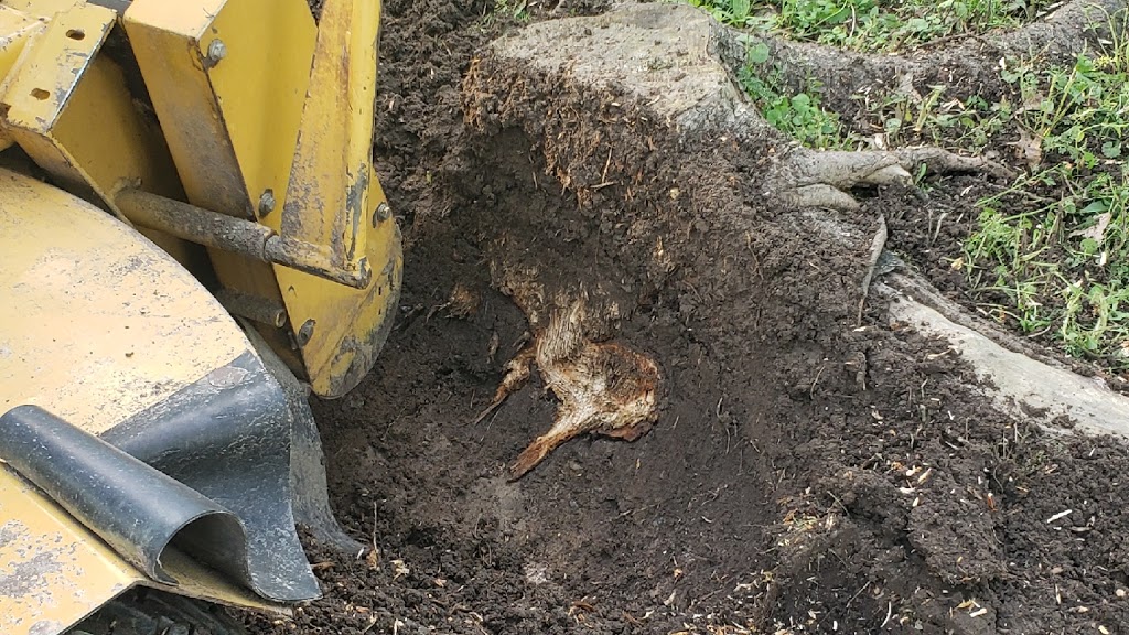 Apple Stump Removal | 1900 Garrison Rd, Fort Erie, ON L2A 5M4, Canada | Phone: (905) 327-6666