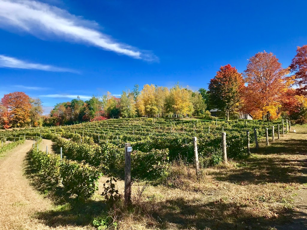 Vignoble de lArdennais | 158 Chemin Ridge, Stanbridge East, QC J0J 2H0, Canada | Phone: (450) 248-0597