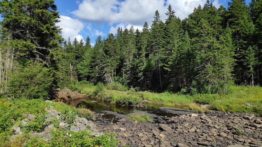 Zec JARO | 551 Route du Président-Kennedy, Saint-Théophile, QC G0M 2A0, Canada | Phone: (418) 597-3622