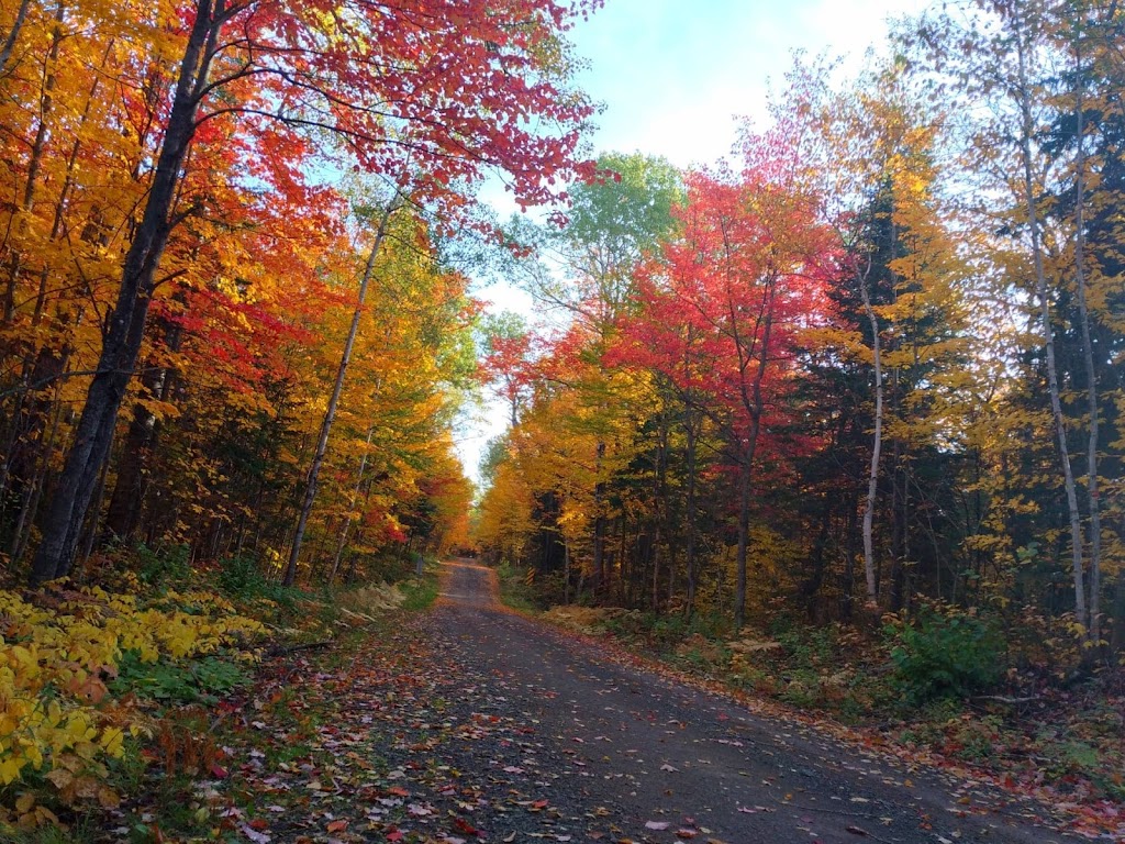 Pourvoirie des Trois Lacs | Chem. de Lapointe, Saint-Bruno-de-Kamouraska, QC G0L 2M0, Canada | Phone: (418) 495-2054