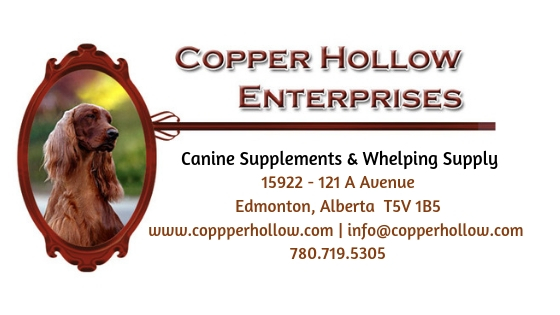 Copper Hollow Enterprises | 15918 121a Ave NW, Edmonton, AB T5V 1B5, Canada | Phone: (780) 719-5305