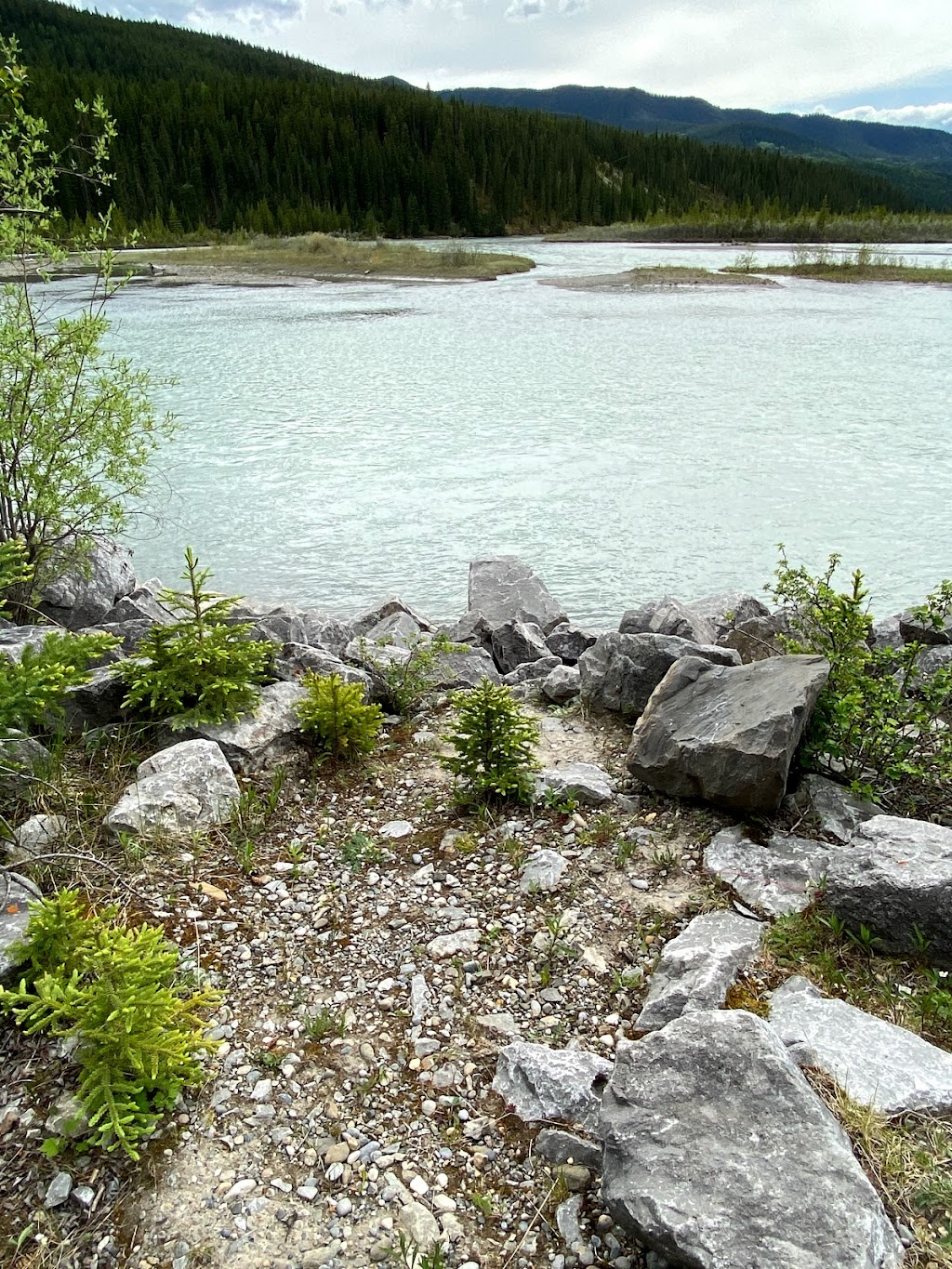 Aylmer Provincial Recreation Area | Clearwater County, AB T0M 2H0, Canada | Phone: (877) 537-2757