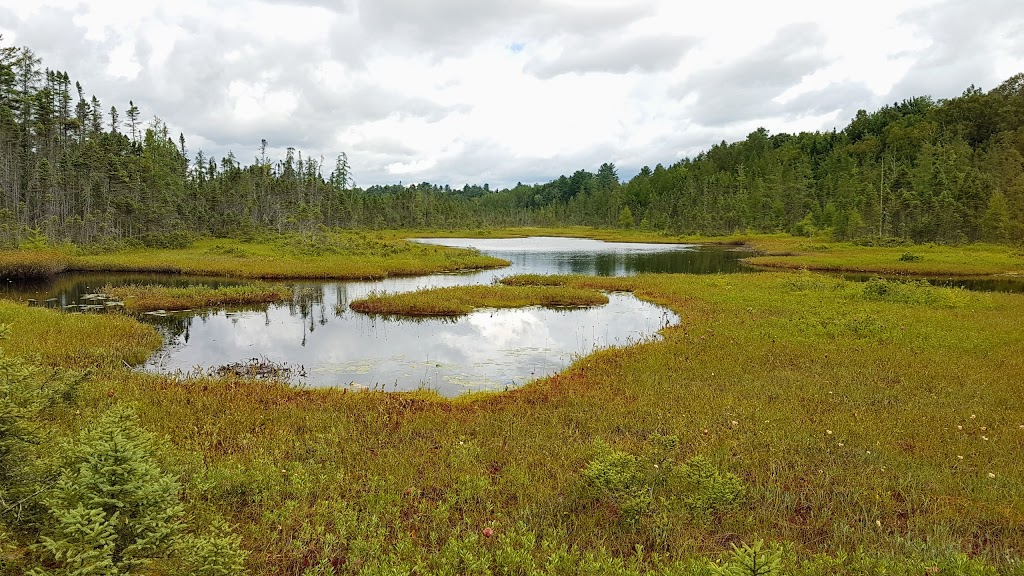 Tourbière Chute-Panet | 750 Côte Joyeuse, Saint-Raymond, QC G3L 4B1, Canada | Phone: (418) 337-1398