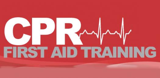 First Aid Intelligence Training | 1533 Barron Rd, Allanburg, ON L0S 1A0, Canada | Phone: (289) 968-2518