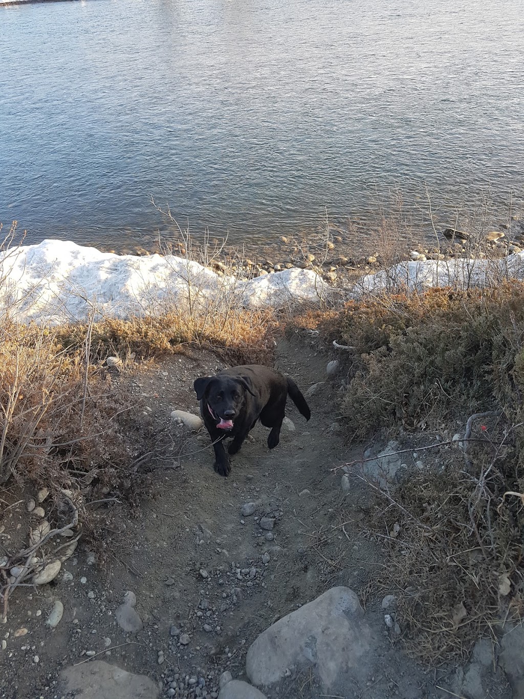 Off-leash Park | Cochrane, AB T4C 2C1, Canada