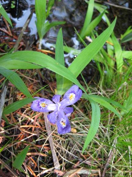 Bruce Alvar Nature Reserve | Hwy 6, Northern Bruce Peninsula, ON N0H 1Z0, Canada | Phone: (800) 440-2366