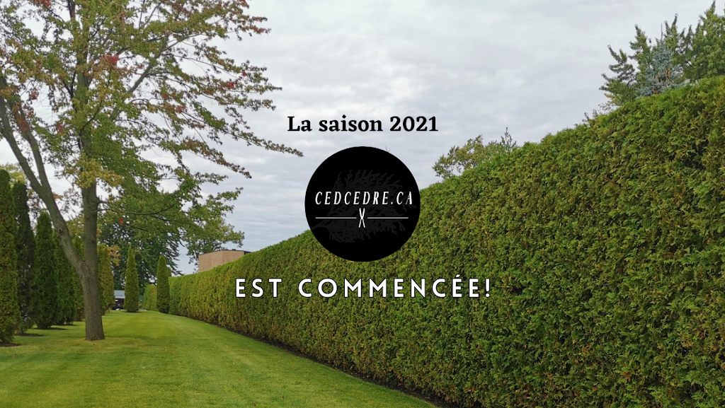 CedCedre.ca | 732 Rue des Érables, Mascouche, QC J7L 3G5, Canada | Phone: (514) 506-9633