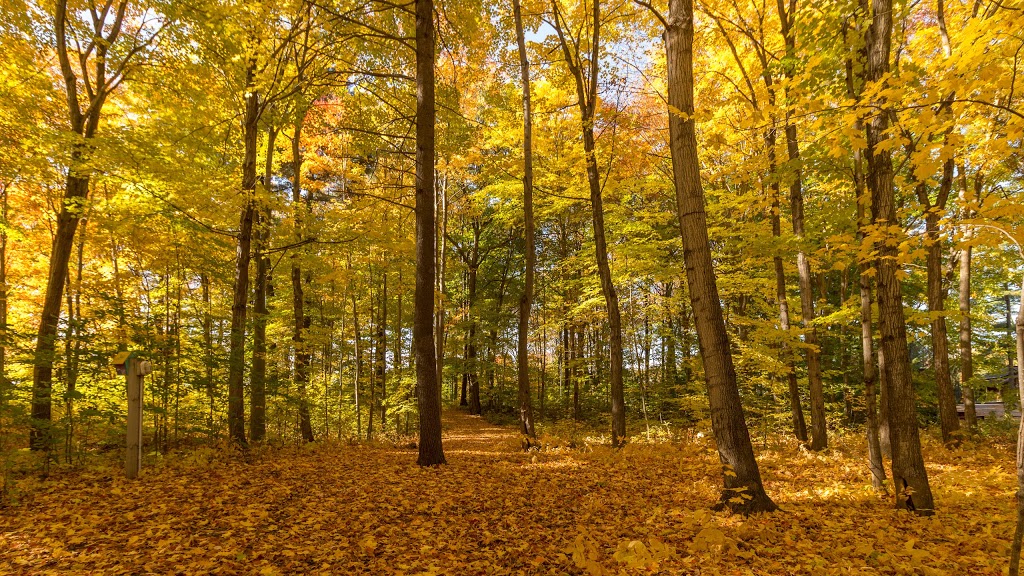 Parc écologique Godefroy | 17105 Boul Bécancour, Bécancour, QC G9H 1A3, Canada