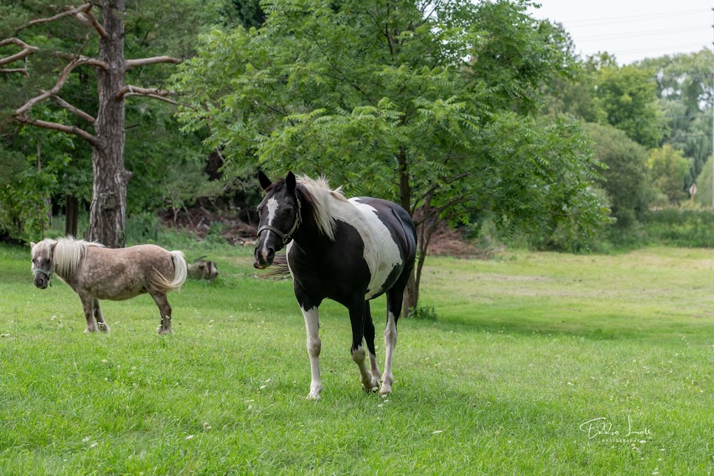 Sunrise Cedar Valley Farms | 16688 Kennedy Rd, Newmarket, ON L3Y 4W1, Canada | Phone: (416) 219-7993