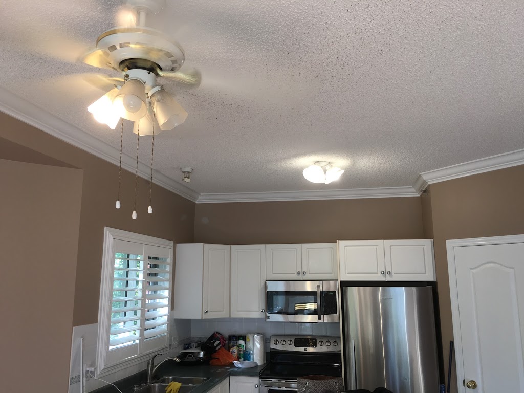 Aurora Independent Interior Painting | 6032 Tudor Glen, St. Albert, AB T8N 3V4, Canada | Phone: (587) 335-4108