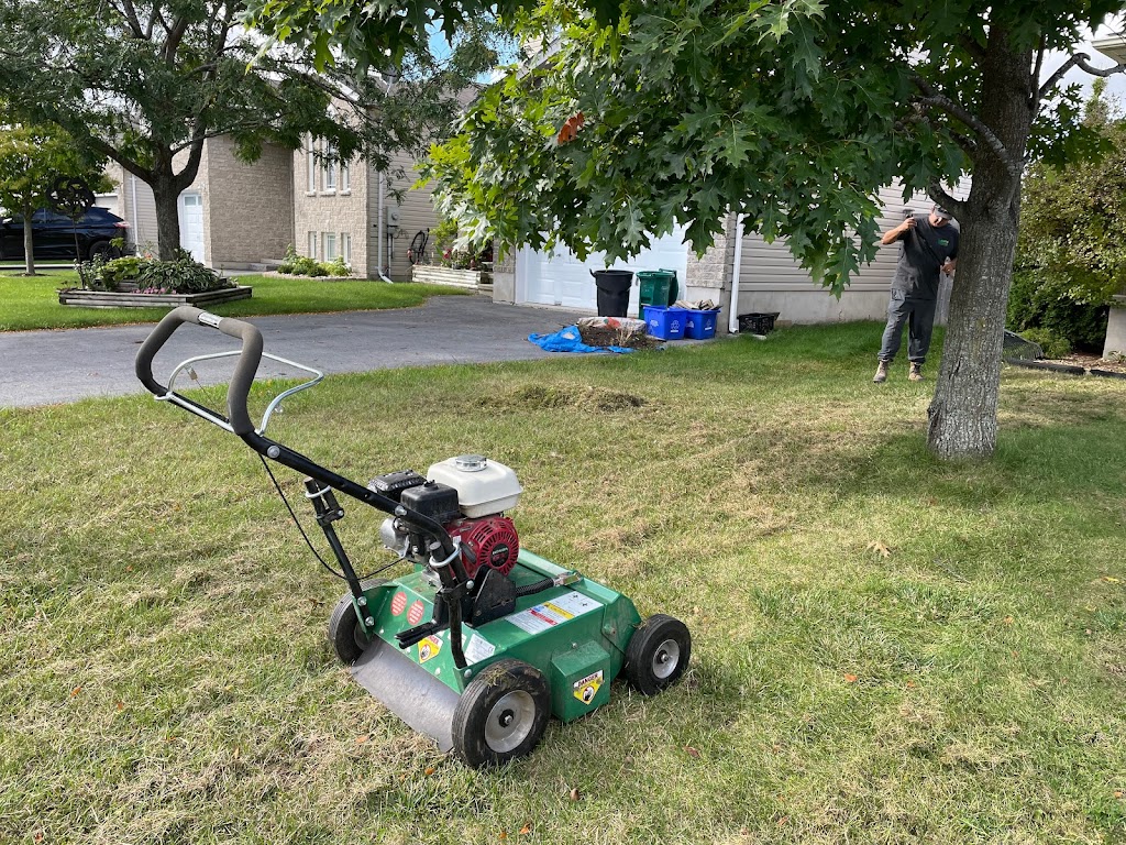 Lawn Guys Co. | 623 Fortune Crescent, Kingston, ON K7P 0E5, Canada | Phone: (613) 384-5568