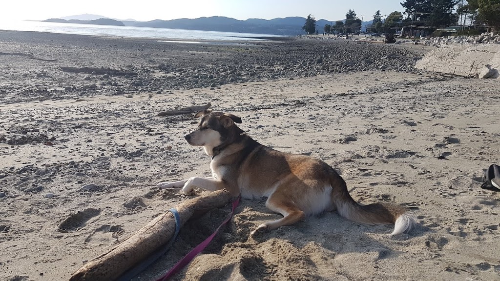 Davis Bay Beach | Sunshine Coast, BC V0N, Canada