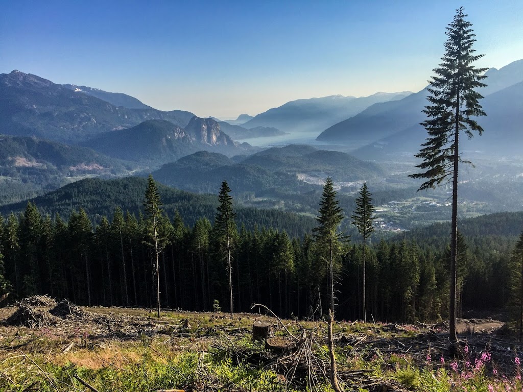 Pettit and Company - Squamish Lawyers | 41105 Tantalus Rd #100, Squamish, BC V8B 0N3, Canada | Phone: (604) 998-0901