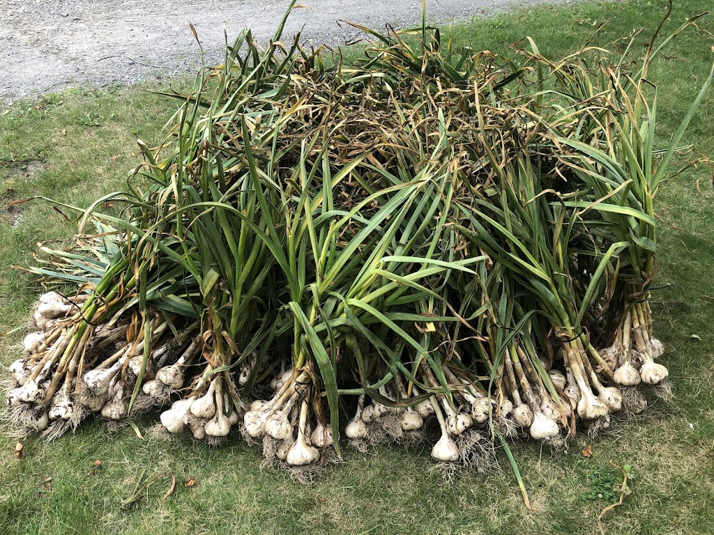 Ferme Mont-Écho | 264 Chem. du Mont-Écho, Knowlton, QC J0E 1V0, Canada | Phone: (450) 525-3527