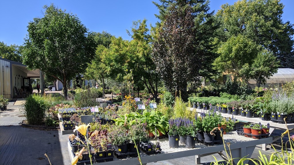 Morden Nurseries & Garden Centre | Morden, MB R6M 1B2, Canada | Phone: (204) 325-2254