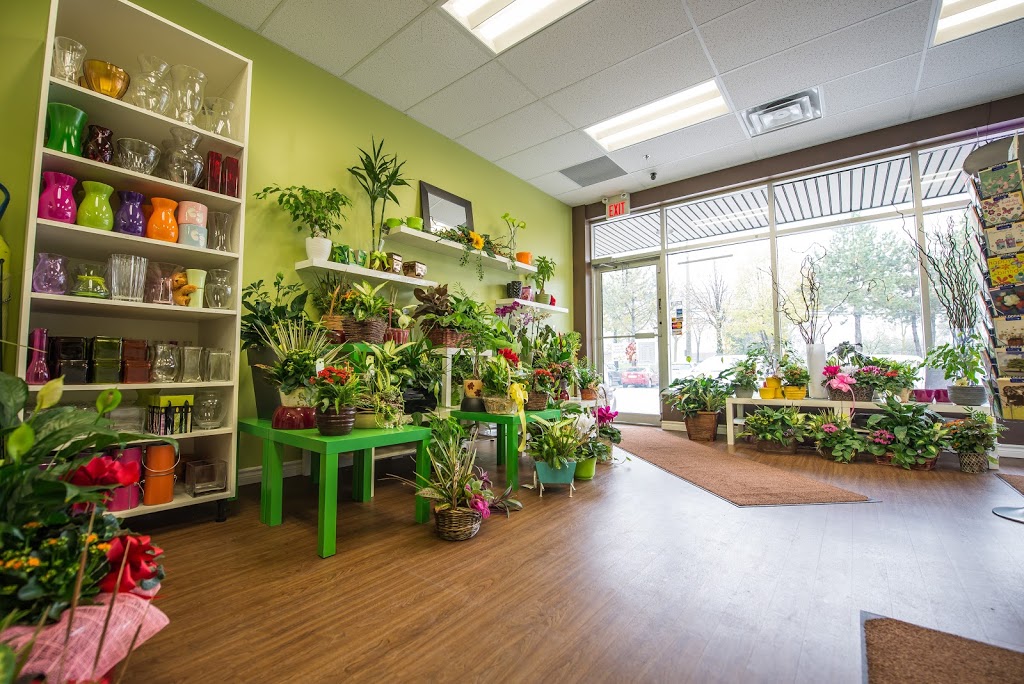 Forest of Flowers | 2400 Dundas St W #3, Mississauga, ON L5K 2R8, Canada | Phone: (905) 916-2424