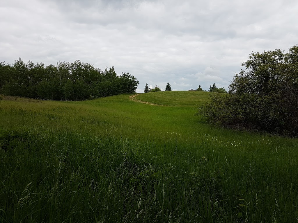 small hill | 249 Hawkview Ct, Sherwood Park, AB T8A 5V6, Canada