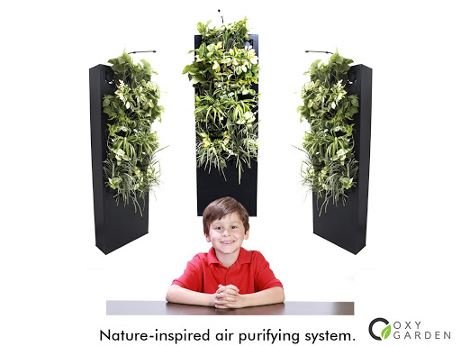 OxyGarden Indoor Air Quality Solutions | 6411 South St Unit 5, Halifax, NS B3H 1V1, Canada | Phone: (902) 989-7420