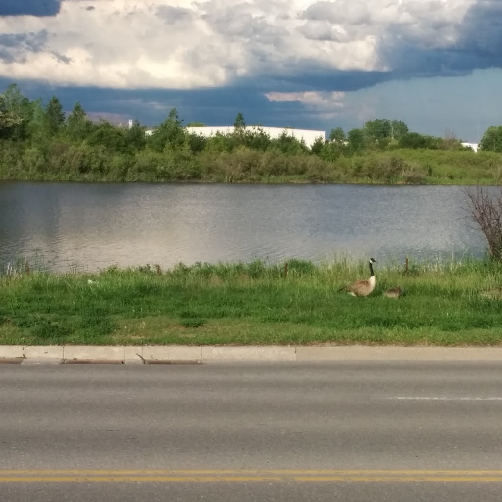 Brick Ponds Wetland Reserve | 64 Springbank Ave S, Woodstock, ON N4S 4B3, Canada