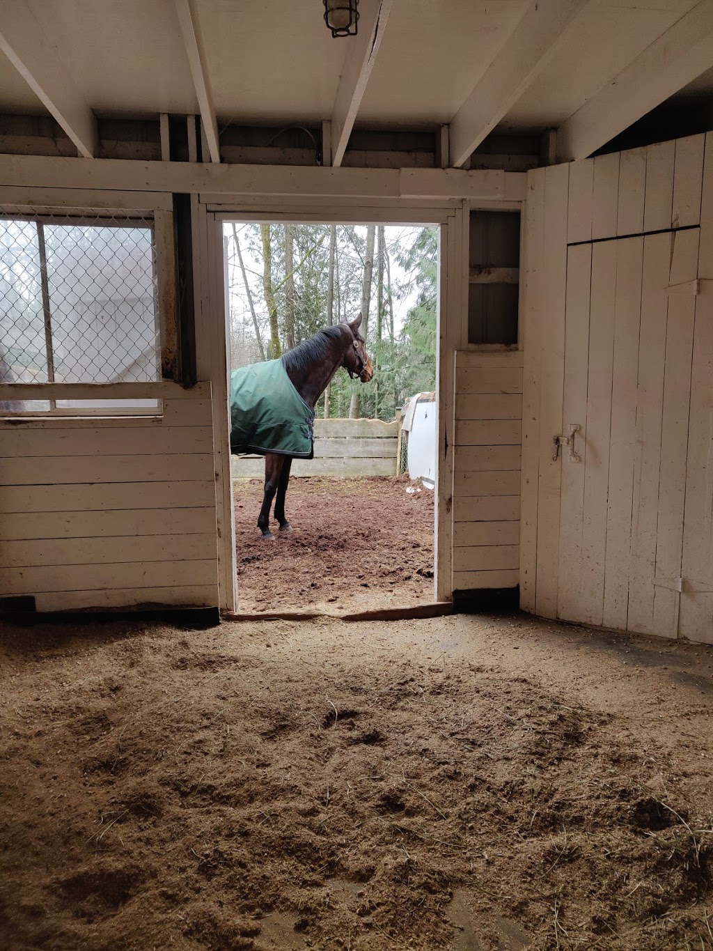 Burnaby Horsemens Association | 9080 Avalon Ave, Burnaby, BC V3N 4G8, Canada | Phone: (604) 522-5146