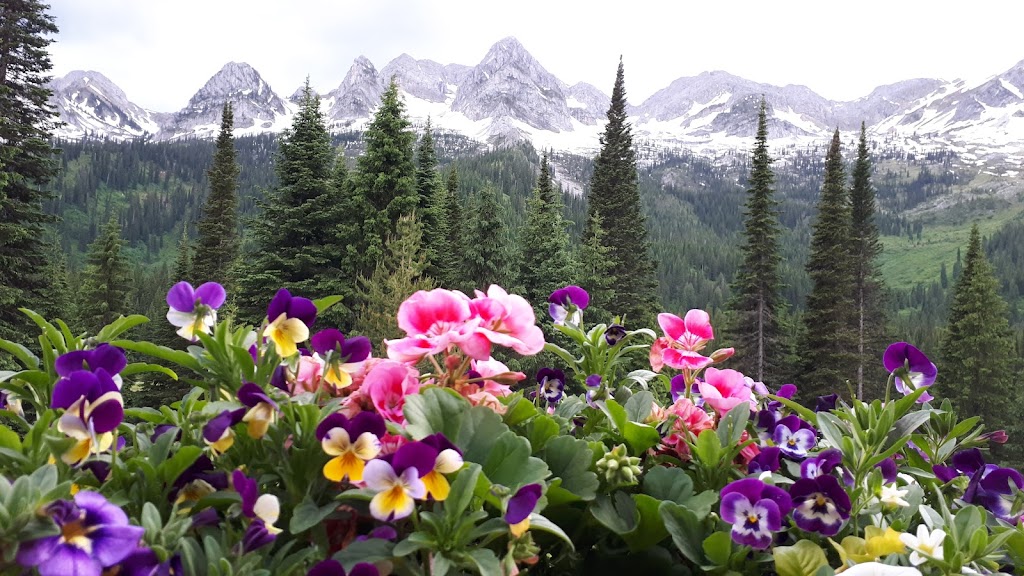 Tamarack Dining Room at Island Lake Lodge | Cedar Ave, Fernie, BC V0B 1M0, Canada | Phone: (250) 423-3700