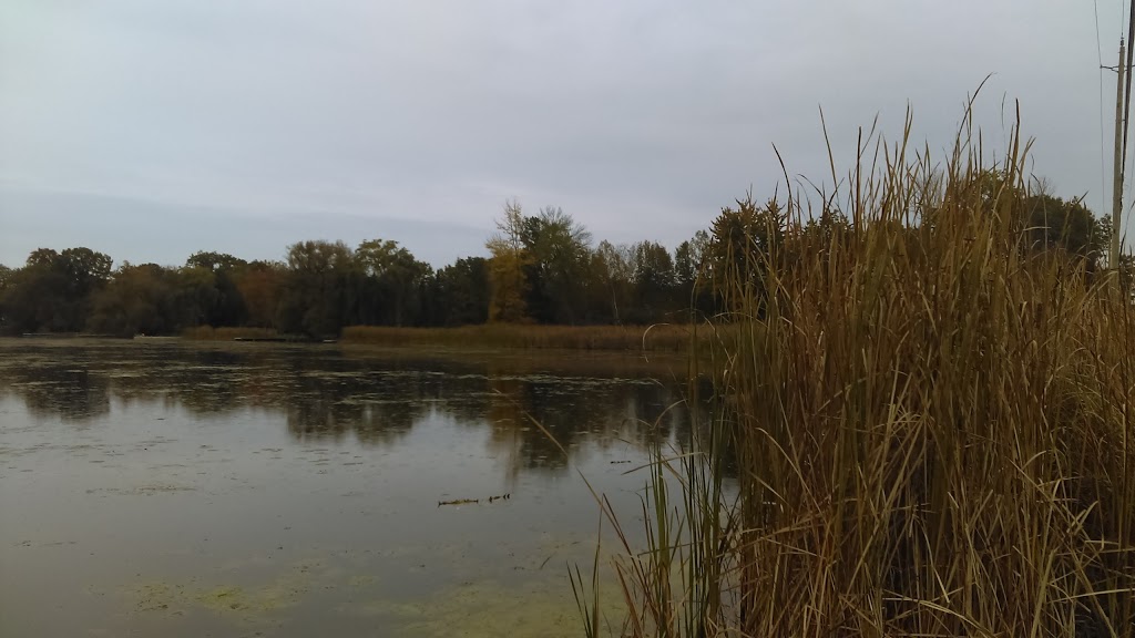 River Drive Park Blue gill | 134 Queensville Sideroad, Queensville, ON L0G 1R0, Canada