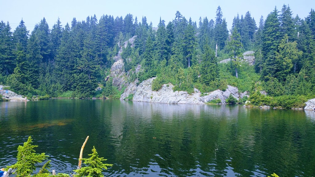 Mount Seymour Provincial Park | Mt Seymour Rd, North Vancouver, BC V7G 1L3, Canada | Phone: (604) 986-9371