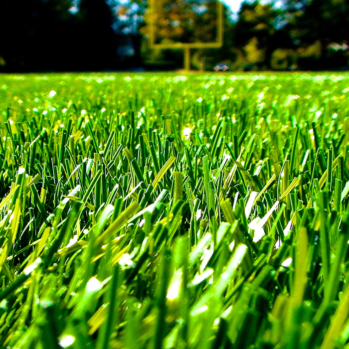 Rymar Synthetic Grass & Rubber Toronto/Mississauga Area | 3615 Laird Rd #5, Mississauga, ON L5L 5Z8, Canada | Phone: (905) 696-9001