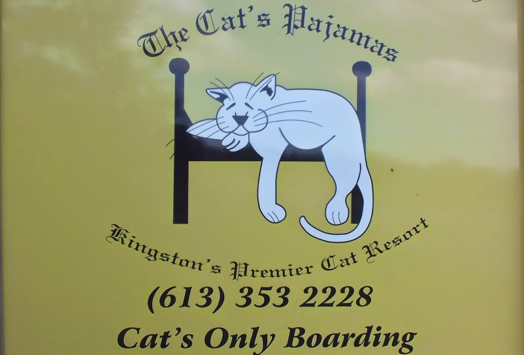 The Cats Pajamas | 4811 Perth Rd, Perth Road, ON K0H 2L0, Canada | Phone: (613) 353-2228