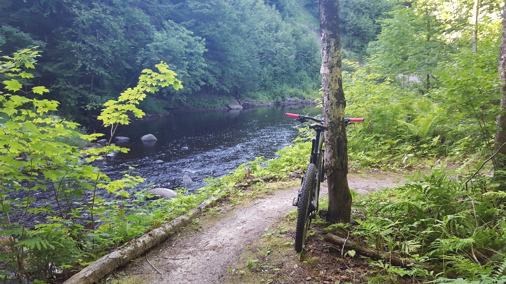 Park of the Gentilly river | 1000 Route des Flamants, Sainte-Marie-de-Blandford, QC G0X 2W0, Canada | Phone: (819) 298-2455