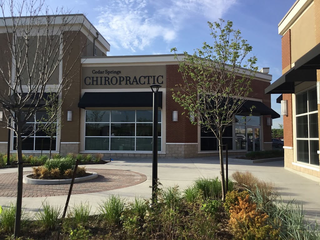 Cedar Springs Chiropractic | 1179 Wilson St W #1, Ancaster, ON L9G 0E8, Canada | Phone: (905) 648-2058