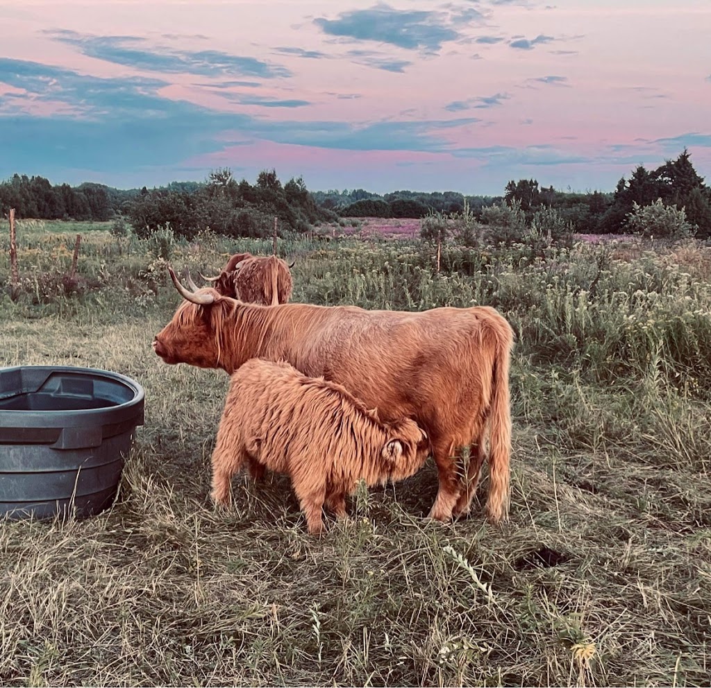 Ferme ÉcoLand des Basques | 20 Rte 132 E, Trois-Pistoles, QC G0L 4K0, Canada | Phone: (418) 712-0336