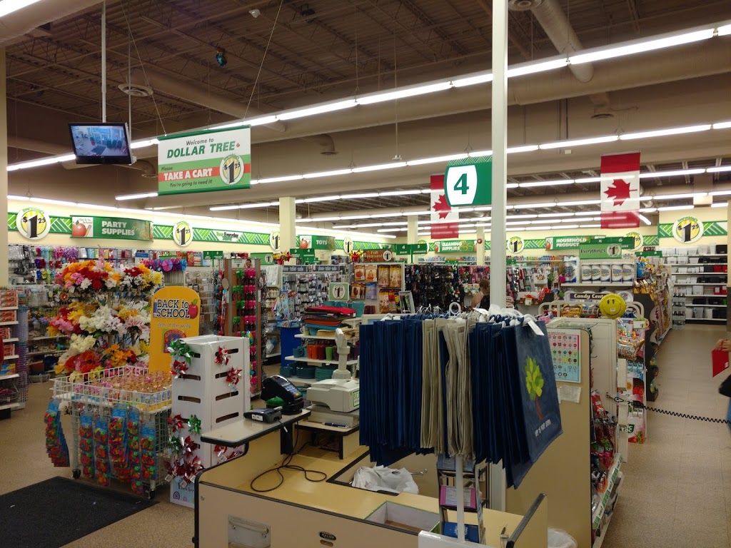 Dollar Tree | 3230 Fairview St, Burlington, ON L7N 3M9, Canada | Phone: (905) 633-8600