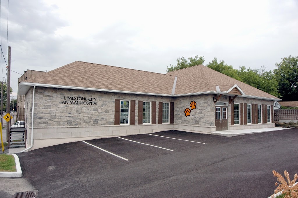 Limestone City Animal Hospital | 70 Cataraqui St, Kingston, ON K7K 1Z7, Canada | Phone: (613) 542-5552