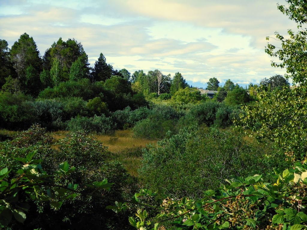 Rithet’s Bog Conservation Society | 4461 Chatterton Way, Victoria, BC V8X 5H7, Canada | Phone: (250) 479-0491