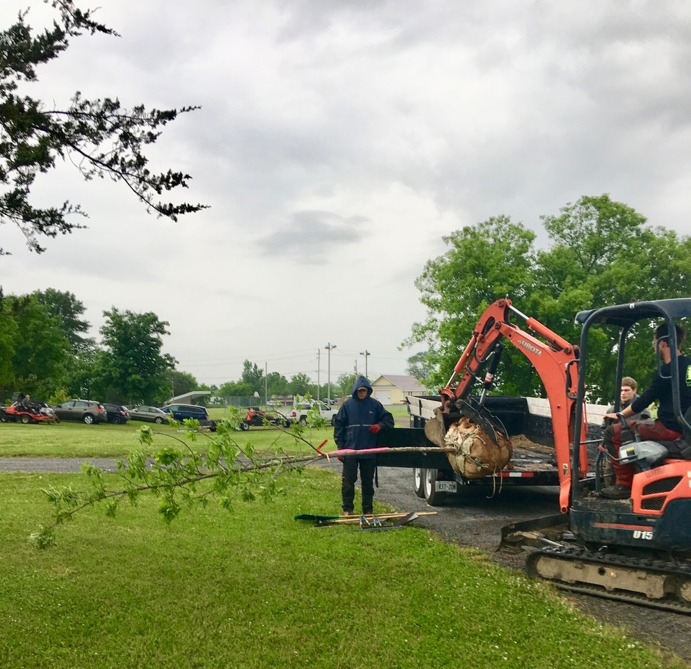 County Arborists Inc. | 106 Gardenville Rd, Carrying Place, ON K0K 1L0, Canada | Phone: (613) 969-6788