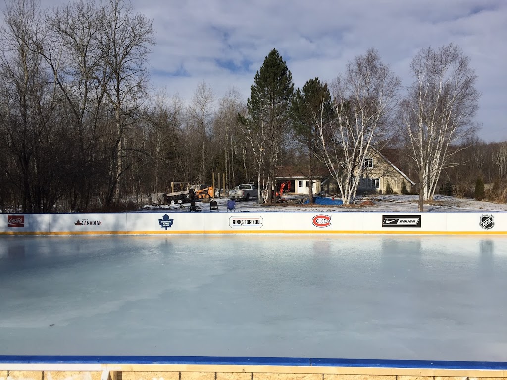 Rinks for you | 107 Birch Ave, Richmond Hill, ON L4C 6C7, Canada | Phone: (647) 402-1064