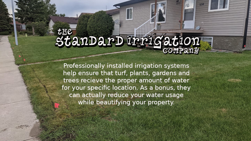 The Standard Irrigation Company | Box 440, 221 Frederick Ave W, Standard, AB T0J 3G0, Canada | Phone: (403) 325-3068