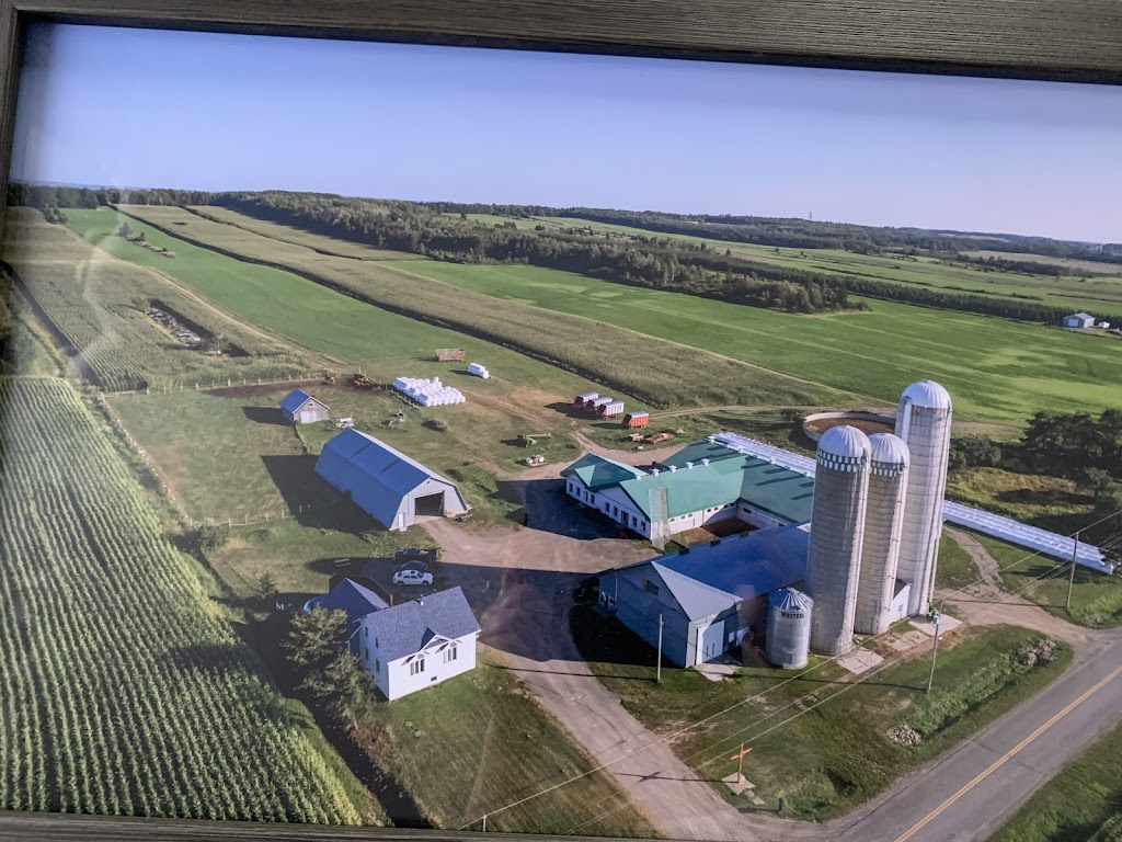 Ferme J.S.Lamonde inc | 4196 4e Rang E, Sainte-Hélène-de-Kamouraska, QC G0L 3J0, Canada | Phone: (418) 854-1999