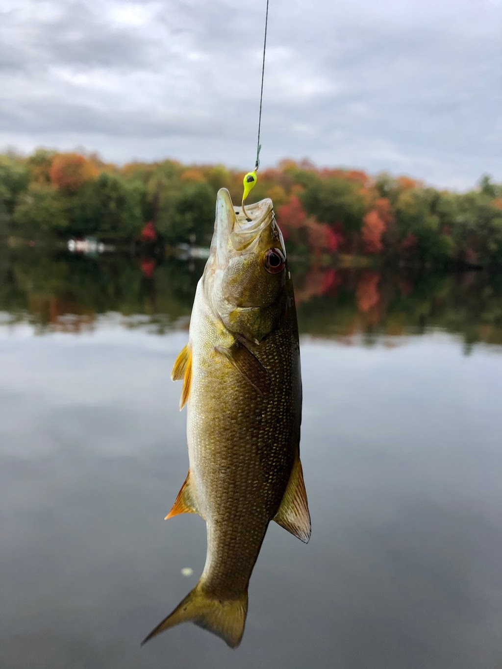 Healey Lake Lodge | 30 Healey Lake Lodge Rd, MacTier, ON P0C 1H0, Canada | Phone: (705) 375-0800