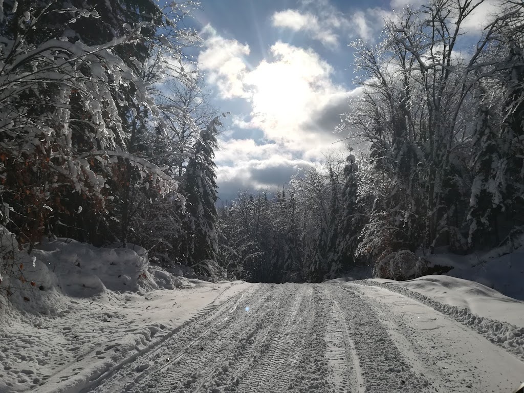 Domaine du parc de la forêt ouareau | 1049 Chemin du Hibou, Notre-Dame-de-la-Merci, QC J0T 2A0, Canada | Phone: (514) 377-8836