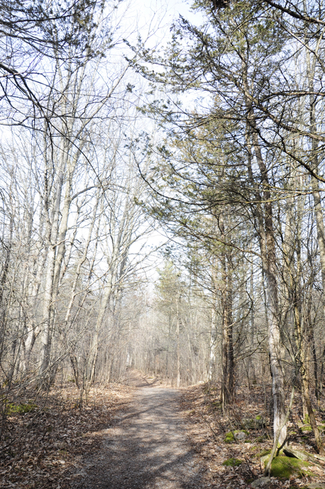 Parrotts Bay Conservation Area | 4976 Bath Rd, Amherstview, ON K0H 1G0, Canada