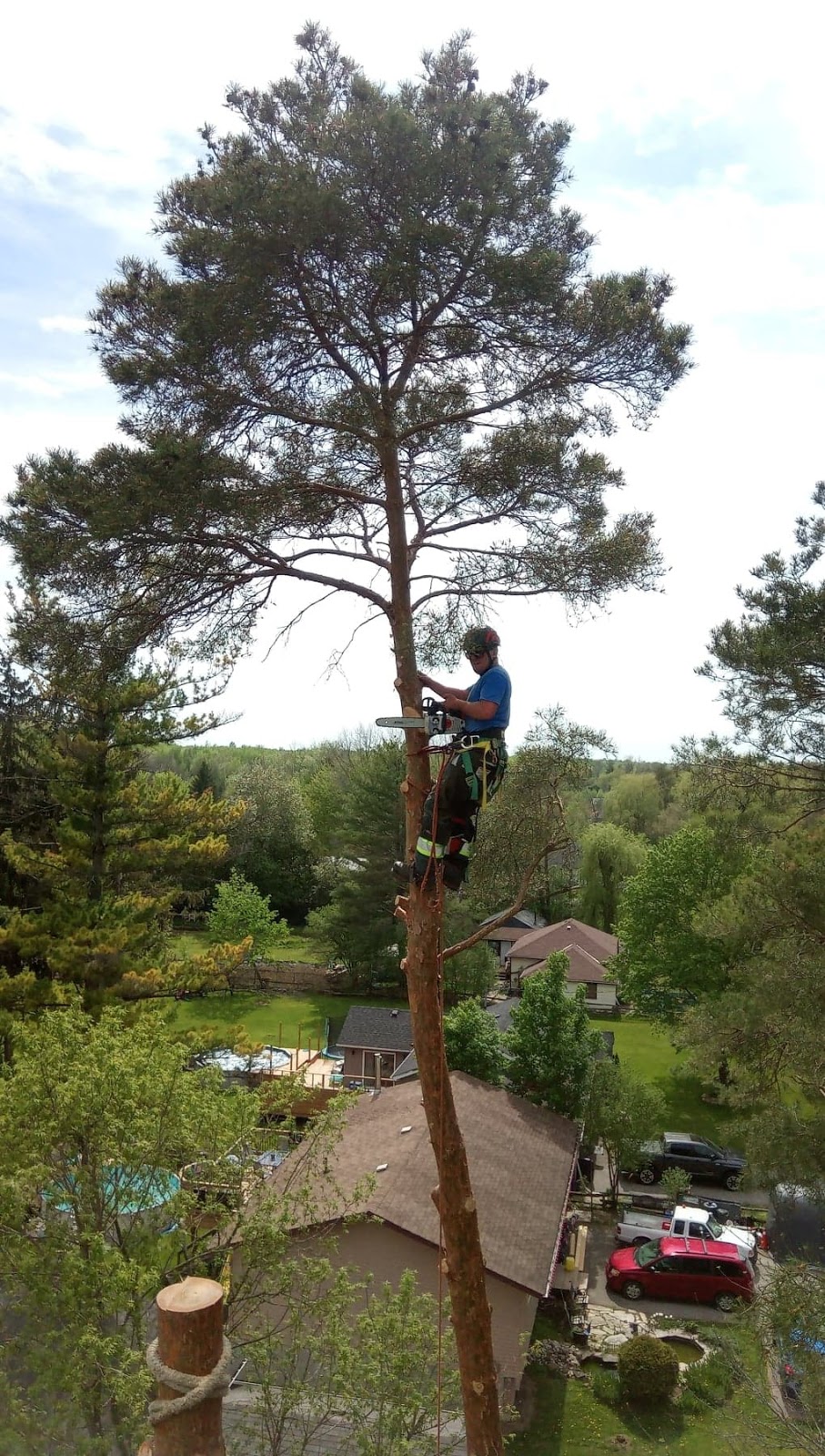 Wrights Tree Service | 27 Riverview Beach Rd, Pefferlaw, ON L0E 1N0, Canada | Phone: (888) 242-0434